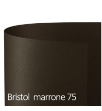 Cartoncino Bristol Color - 50 x 70 cm - 200 gr - marrone 75 - Favini - conf. 25 fogli