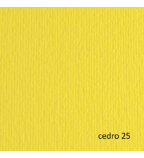 Cartoncino Elle Erre - 50 x 70 cm - 220 gr - cedro 25 - Fabriano - blister 20 fogli