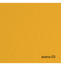 Cartoncino Elle Erre - 70 x 100 cm - 220 gr - avana 103 - Fabriano - blister 10 fogli