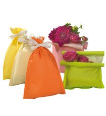 Busta regalo Spring - 35 x 50 cm - 45 gr - carta - 5 colori assortiti - PNP - conf. 25 pezzi