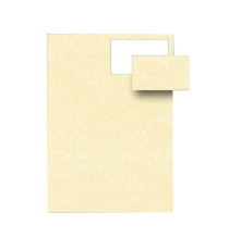 Biglietti da visita - 85 x 54 mm - 165 gr - microperforati - avorio - Decadry - conf. 12 fogli da 10 biglietti