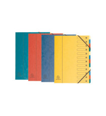 Classificatore numerico 1/12 Nature Future - 12 scomparti - 24x32 cm - colori assortiti - Exacompta