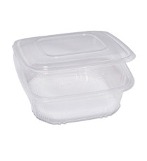 Contenitori in PP - con coperchio incernierato - 21,5 x 21,5 x 6,9 cm - Europack - conf. 50 pezzi