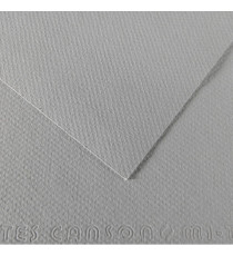 Foglio Mi-Teintes - A4 - 160 gr - grigio flanella - Canson
