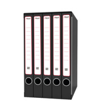 Gruppo registratori Quintetto - 23 x 32 cm - con 5 cartelle 3 lembi - dorso 23 cm - grigio - Rexel