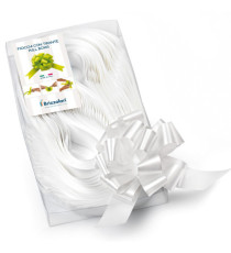 Nastri strip 6800 - in polipropilene - bianco 01 - per fiocco autocomponibile - 31 mm - diametro 13 cm - Brizzolari - co