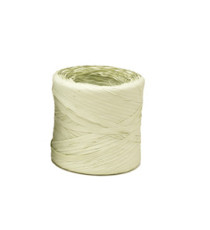 Nastro Raphia Vintage - verde nilo 62 - 200mt - Bolis