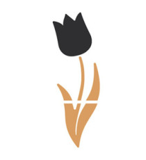 Mix lavagne da parete Tulip - Securit