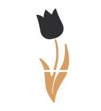 Mix lavagne da parete Tulip - Securit
