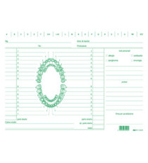 Schede in cartoncino per dentisti - 17 x 24 cm - verde - Edipro - conf. 100 pezzi