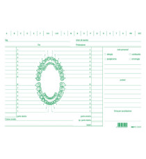 Schede in cartoncino per dentisti - 17 x 24 cm - verde - Edipro - conf. 100 pezzi