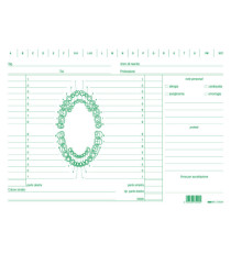 Schede in cartoncino per dentisti - 17 x 24 cm - verde - Edipro - conf. 100 pezzi