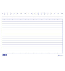 Schede in cartoncino rigate - 17 x 24 cm orizzontale - Edipro - conf. 100 pezzi