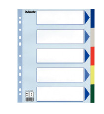 Separatore - 5 tasti colorati - PP - A4 maxi - 24,5x29,7 cm - multicolore - Esselte