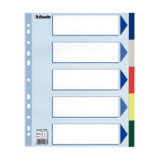 Separatore - 5 tasti colorati - PP - A4 maxi - 24,5x29,7 cm - multicolore - Esselte