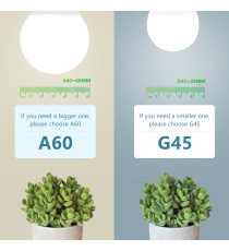 Lampadine led G45 4W attacco E14 340 lumen 6500K luce fredda misura D45xH80mm Equivalenza lampada incandescente: 31W