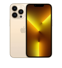 iPhone 13 Pro Usato Garantito | 512GBA / Oro / 100% nuova