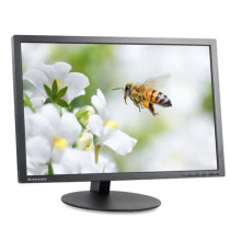 [A- ]Monitor Lenovo ThinkVision T2454p