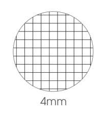 Maxiquaderno Color 80 Basic - A4 -  4mm - 80 fogli - 80gr - BM