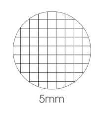Maxiquaderno Color 80 Basic - A4 -  5mm - 80 fogli - 80gr - BM