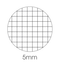 Maxiquaderno Color 80 Basic - A4 -  5mm - 80 fogli - 80gr - BM
