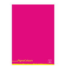 Maxiquaderno Pigna Colours - A4 - 1 rigo - c/margine - 42 fogli - 80 gr - Pigna
