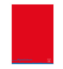 Maxiquaderno Pigna Colours - A4 - 4 mm - 42 fogli - 80 gr - Pigna