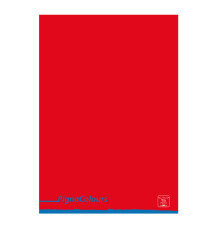 Maxiquaderno Pigna Colours - A4 - 4 mm - 42 fogli - 80 gr - Pigna