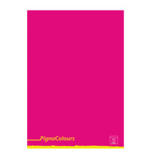 Maxiquaderno Pigna Colours - A4 - 5 mm - c/margine - 42 fogli - 80 gr - Pigna