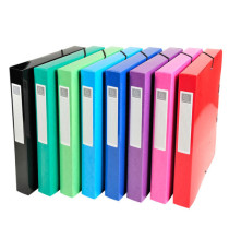 Scatola archivio box Iderama - dorso 40 mm - A4 - 8 colori assortiti - Exacompta