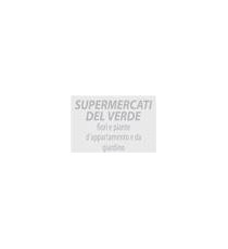 TIMBRO COLOP 52 RETTANGOLARE AUTOINCHIOSTRANTE PERSONALIZZATO  COLOP 52 20X30mm QUALITA' PROFESSIONALE TIMBRO COLOP 52 RETTANGOLARE AUTOINCHIOSTRANTE PERSONALIZZATO  COLOP 52 20X30mm QUALITA' PROFESSIONALE