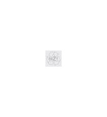 TIMBRO COLOP Q12 QUADRATO AUTOINCHIOSTRANTE PERSONALIZZATO  COLOP Q12 12X12mm QUALITA' PROFESSIONALE TIMBRO COLOP Q12 QUADRATO AUTOINCHIOSTRANTE PERSONALIZZATO  COLOP Q12 12X12mm QUALITA' PROFESSIONALE