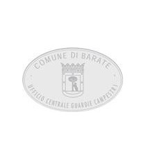 TIMBRO COLOP OV-55 OVALE AUTOINCHIOSTRANTE PERSONALIZZATO  COLOP OV-55 MISURA 35X55mm QUALITA' PROFESSIONALE TIMBRO COLOP OV-55 OVALE AUTOINCHIOSTRANTE PERSONALIZZATO  COLOP OV-55 MISURA 35X55mm QUALITA' PROFESSIONALE