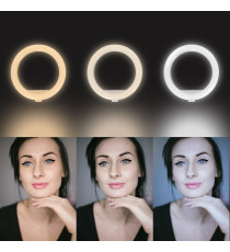 ASTA SUPPORTO SELFIE LINQ ZP9006 CON RING LIGHT - LUCE LED AD ANELLO 6" 10W SMARTPHONE TELECOMANDO LUCE CALDA,FREDDA,BIANCA ASTA SUPPORTO SELFIE LINQ ZP9006 CON RING LIGHT - LUCE LED AD ANELLO 6" 10W SMARTPHONE TELECOMANDO LUCE CALDA,FREDDA,BIANCA