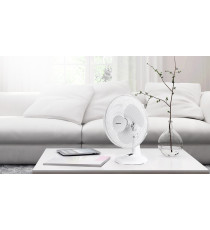 VENTILATORE DA TAVOLO 45W - BIANCO - 3 VELOCITA' - MISURA L420xW270xH550mm - MOTORE ANTIRUMORE AIGOSTAR VENTILATORE DA TAVOLO 45W - BIANCO - 3 VELOCITA' - MISURA L420xW270xH550mm - MOTORE ANTIRUMORE AIGOSTAR