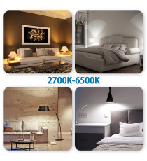 LAMPADINA SMART LED FILAMENTO A SFERA G45 6.5W E14 WIFI RGB+CCT 2700K-6500K 555 LUMEN D45H89mm ALEXA E GOOGLE ASSISTANT