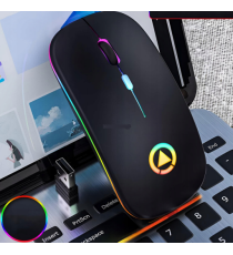 Mouse wireless professionale MR12 nero con luci RGB - ergonomico ottico 4 tasti - wifi 2,4g e Bluetooth 5.0 - dpi 1600 10mt Mouse wireless professionale MR12 nero con luci RGB - ergonomico ottico 4 tasti - wifi 2,4g e Bluetooth 5.0 - dpi 1600 10mt