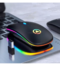 Mouse wireless professionale MR12 nero con luci RGB - ergonomico ottico 4 tasti - wifi 2,4g e Bluetooth 5.0 - dpi 1600 10mt Mouse wireless professionale MR12 nero con luci RGB - ergonomico ottico 4 tasti - wifi 2,4g e Bluetooth 5.0 - dpi 1600 10mt
