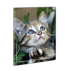 Album portafoto a busta saldato - assortiti - 23 x 30cm - contiene fino a 80 foto da 14x19cm - Lebez Album portafoto a busta saldato - assortiti - 23 x 30cm - contiene fino a 80 foto da 14x19cm - Lebez