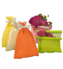 Busta regalo Spring - 20 x 32 cm - 45 gr - carta - 5 colori assortiti - PNP - conf. 50 pezzi Busta regalo Spring - 20 x 32 cm - 45 gr - carta - 5 colori assortiti - PNP - conf. 50 pezzi