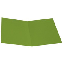 Cartellina semplice - 200 gr - cartoncino bristol - verde nilo - Starline - conf. 50 pezzi Cartellina semplice - 200 gr - cartoncino bristol - verde nilo - Starline - conf. 50 pezzi
