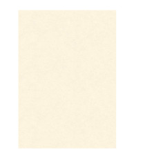 Diplomi in pergamena - stampa offset - A3 - 160 gr - neutro avorio - Kartos - conf. 10 pezzi