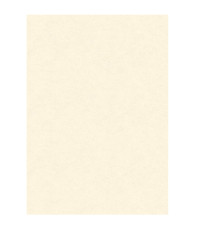 Diplomi in pergamena - stampa offset - A3 - 160 gr - neutro avorio - Kartos - conf. 10 pezzi