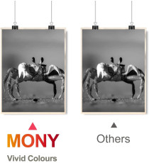 Pack 2 TN1050 toner compatibili per Brother DCP1510 1512 HL1110 1112 MFC1810 N° 2pz TN-1050 capacità 1.000 pagine