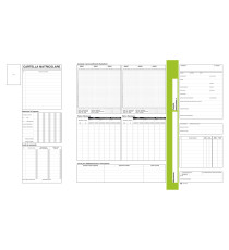 Cartellina matricolare - con vano portadocumenti - 32,5 x 25,5 cm - Data Ufficio Cartellina matricolare - con vano portadocumenti - 32,5 x 25,5 cm - Data Ufficio