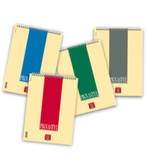Blocco Pignastyl spiralato - 1 rigo - A4 - 80gr - 60 fogli - Pigna Blocco Pignastyl spiralato - 1 rigo - A4 - 80gr - 60 fogli - Pigna