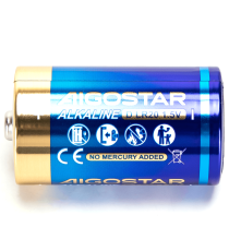 Batteria alcalina torcia D LR20 1.5V 2pz alta qualità, di grande durata - Senza mercurio e rispettoso dell'ambiente Batteria alcalina torcia D LR20 1.5V 2pz alta qualità, di grande durata - Senza mercurio e rispettoso dell'ambiente