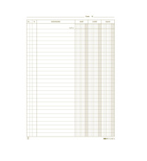 Schede dare/avere/saldo - 24 x 17 cm - verde - Edipro - conf. 100 pezzi Schede dare/avere/saldo - 24 x 17 cm - verde - Edipro - conf. 100 pezzi