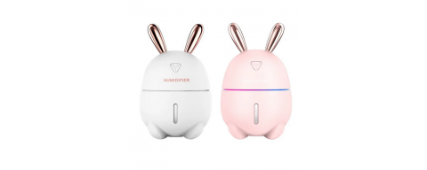 Umidificatori e diffusori aromi Umidificatori e diffusori aromi