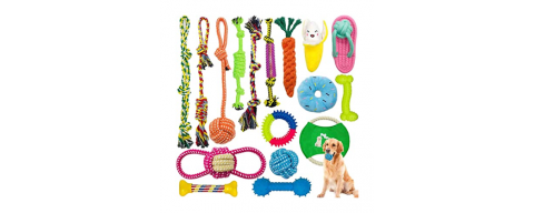 Giochi per animali domestici Giochi per animali domestici